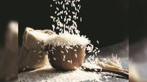 Non Basmati Rice
