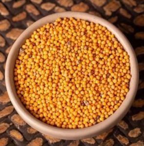 Yellow Mustard Seeds
