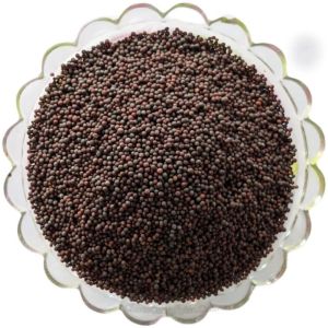 Brown Mustard Seeds