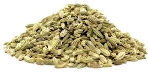 Fennel Seeds