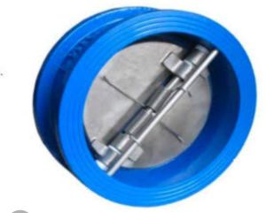 Dual Plate Check Valve