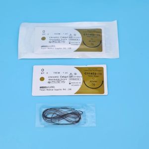 Catgut Surgical Suture