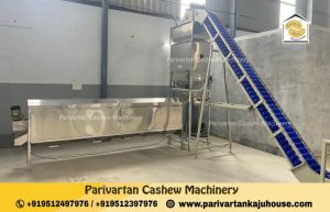 Double Head Cashew Peeling Machine