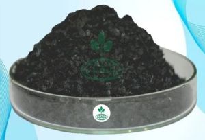 Seaweed Extract Powder G-2