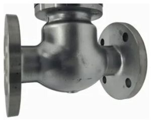 Alloy 20 Swing Check Valve