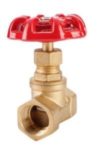 Bronze Globe Valve