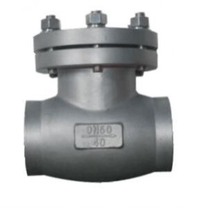 Cryogenic Check Valve