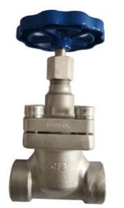 CRYOGENIC SHORT STEM GLOBE VALVE