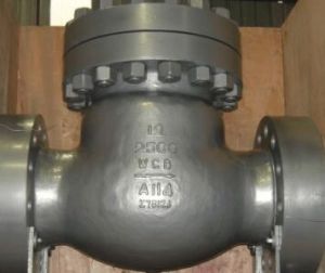 Pressure Seal Check Valve