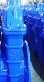 RISING STEM CAST IRON GATE VALVE