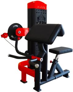 DS-4003 Bicep/Tricep exercise machine