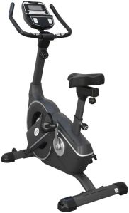 Gamma Upright Bike