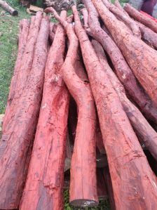 Red Sandalwood Logs