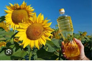 Sunflower Refined Oil