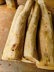 white sandalwood