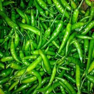 Natural Fresh Green Chillies