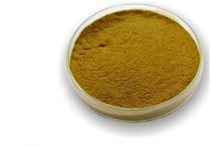 Andrographis Extract