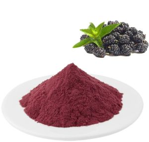 Blackberry Juice Powder