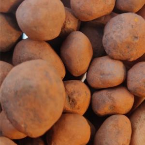 Sponge Iron Ore Pellets