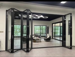 Frameless Glass Door Partition