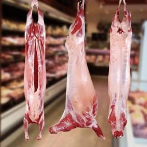 Frozen Goat Meat