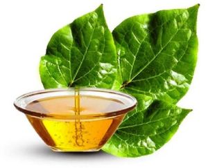 Betel Leaf Oil