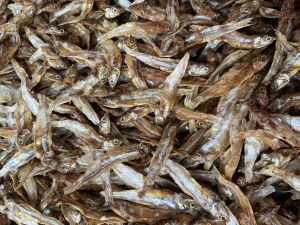 Nethili Dry Fish