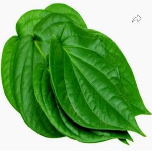 Betel Leaf