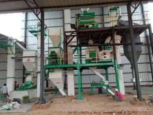 Automatic Poultry Feed Plant