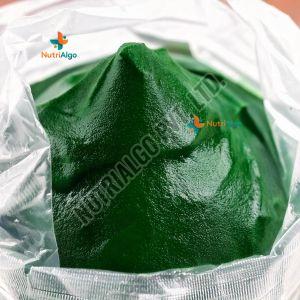 Spirulina Paste