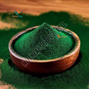 Spirulina Algae Powder
