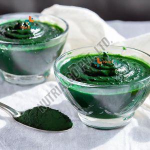 Spirulina Paste