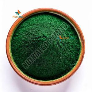 Green Spirulina Powder