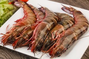 Tiger Prawns