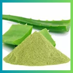 Aloe Vera Leaves Powder