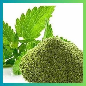 Dry Mint Leaves Powder