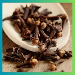 Clove Seeds