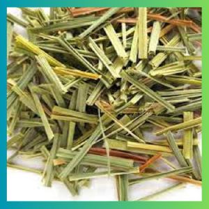 Lemon Grass