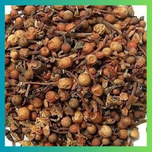 Nagkesar Seed