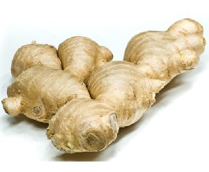 Raw Ginger