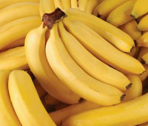 Fresh Cavendish G9 Banana