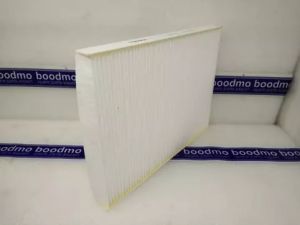 Eco Sport Cabin Filter