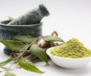 Dried Neem Leaf Powder