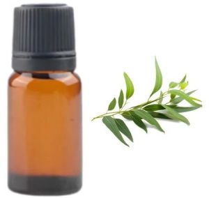 Eucalyptus Hydrosol Liquid