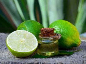 Lime Peel Hydrosol Liquid