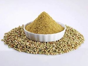 Organic Coriander Powder