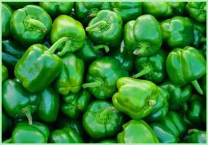 Fresh Green Capsicum