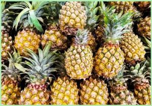 Fresh Pineapple