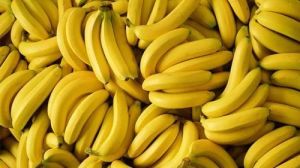 Fresh Yellow Banana