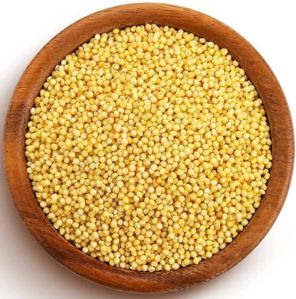 Foxtail Millet Whole Grain Unpolished & Organic